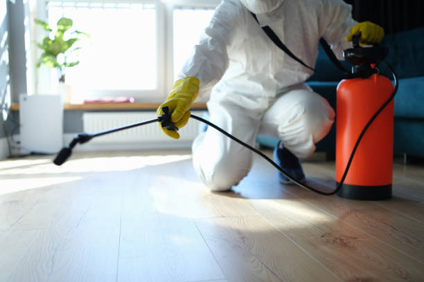 Best Flea Control Services  in Frewsburg, NY