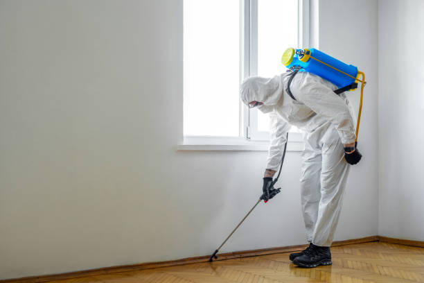 Best Affordable Pest Control Services  in Frewsburg, NY