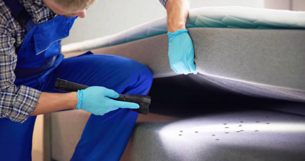 Best Pest Control Near Me  in Frewsburg, NY