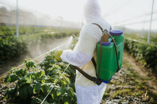 Best Best Pest Control Companies  in Frewsburg, NY
